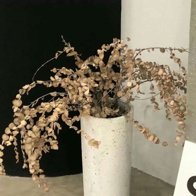 Furry插画灵感合集兽圈社群